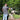 Small-Form Lawn & Garden Sprayers